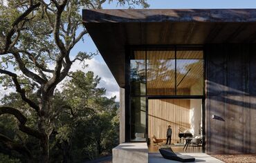  Vilă modernă din beton în pădure